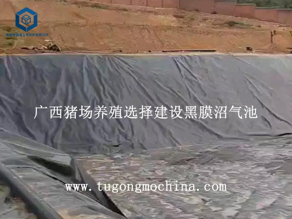 广西猪场养殖选择建设黑膜沼气池