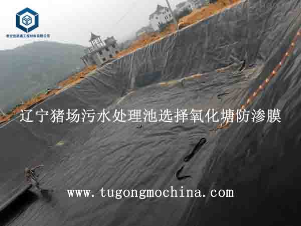 辽宁猪场污水处理池选择氧化塘防渗膜 辽宁猪场污水处理池选择氧化塘膜