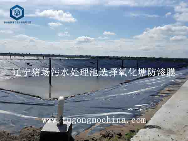 辽宁猪场污水处理池选择氧化塘防渗膜 辽宁猪场污水处理池选择防渗膜