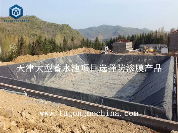 天津大型蓄水池项目选择蓄水池膜产品