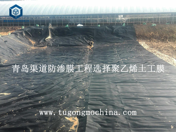 青岛渠道防渗膜工程选择聚乙烯土工膜 青岛渠道防渗膜工程选择聚乙烯土工膜