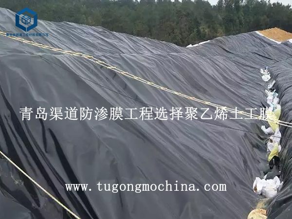 青岛渠道防渗膜工程选择聚乙烯土工膜 青岛渠道防渗膜工程选择聚乙烯膜