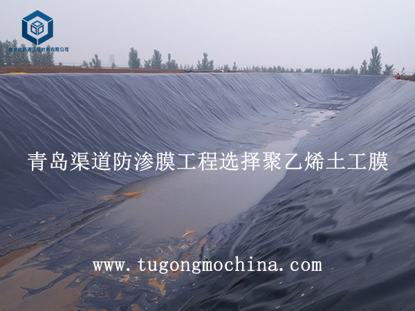 青岛渠道防渗膜工程选择聚乙烯土工膜 青岛渠道防渗膜工程选择土工膜