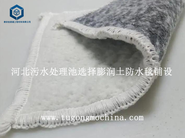 河北污水处理池选择膨润土防水毯铺设 河北污水处理池选择防水毯铺设