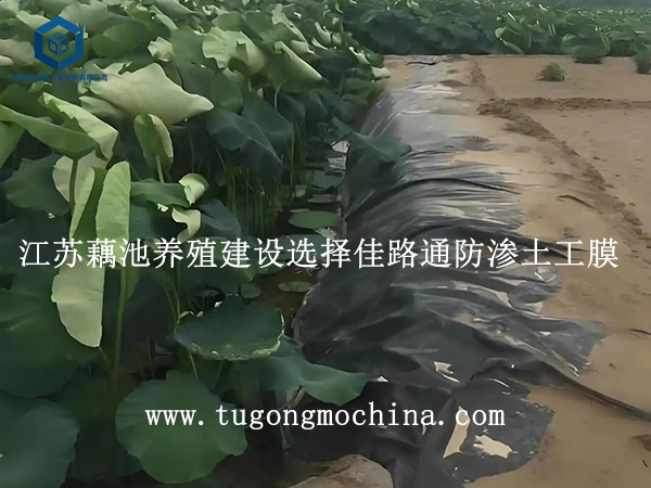 1 江苏藕池养殖建设选择佳路通防渗土工膜