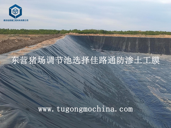 东营猪场调节池选择佳路通防渗土工膜 东营猪场调节池选择佳路通防渗土工膜