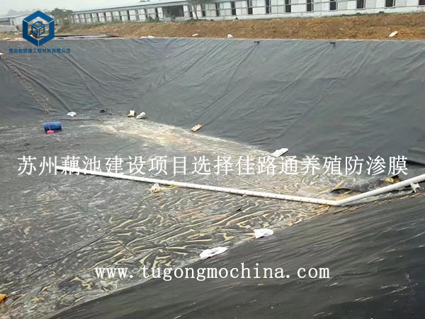 苏州藕池建设项目选择佳路通养殖防渗膜 苏州藕池建设项目选择佳路通防渗膜