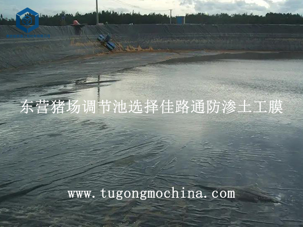 东营猪场调节池选择佳路通防渗土工膜 东营猪场调节池选择佳路通土工膜