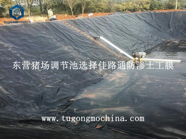 东营猪场调节池选择佳路通防渗土工膜 东营猪场调节池选择佳路通防渗膜