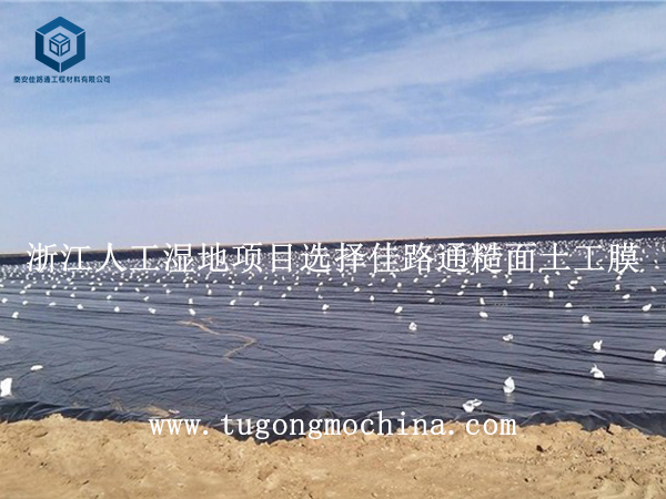 浙江人工湿地项目选择佳路通糙面土工膜