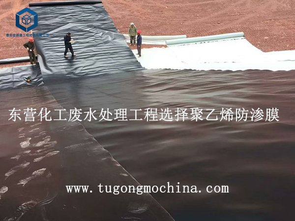 东营化工废水处理工程选择聚乙烯防渗膜