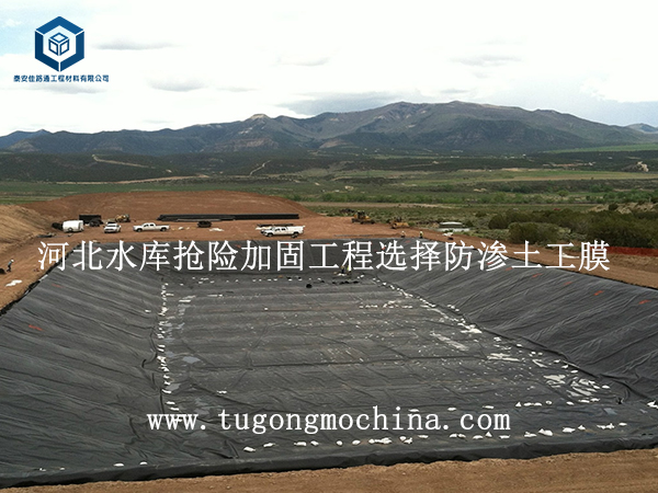 河北水库抢险加固工程选择土工膜