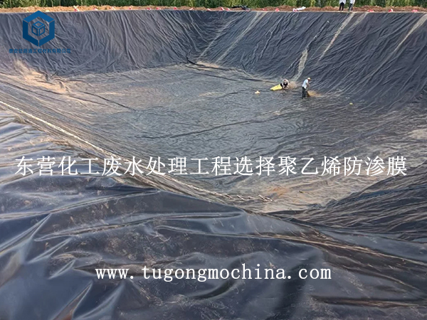 东营化工废水处理工程选择聚乙烯膜