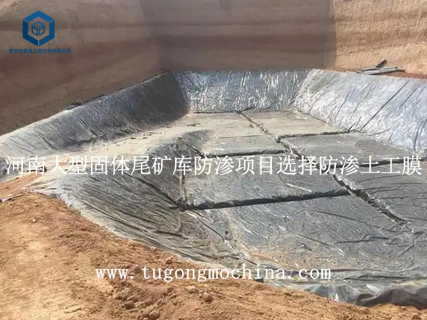 河南大型固体尾矿库防渗项目选择土工膜