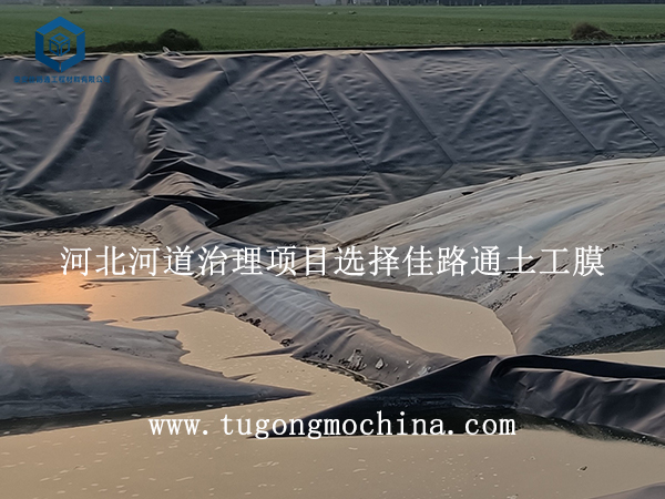 河北河道治理项目选择土工膜