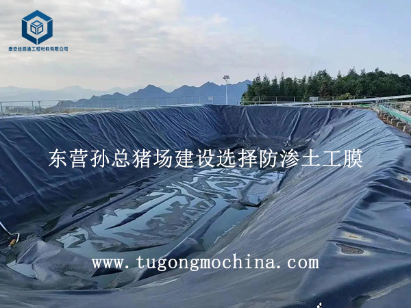 东营孙总猪场建设选择防渗土工膜