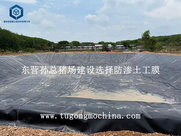 东营孙总猪场建设选择土工膜
