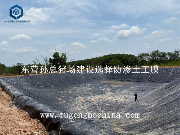 东营孙总猪场建设选择防渗膜