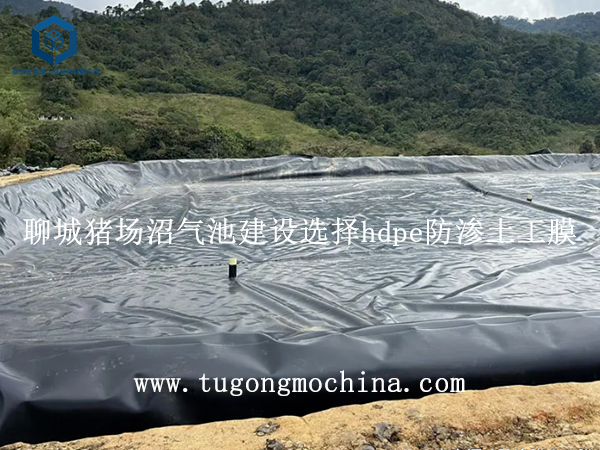 山东聊城猪场沼气池建设选择hdpe防渗土工膜