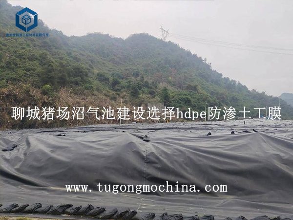 山东聊城猪场沼气池建设选择hdpe土工膜