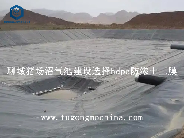 山东聊城猪场沼气池建设选择防渗土工膜