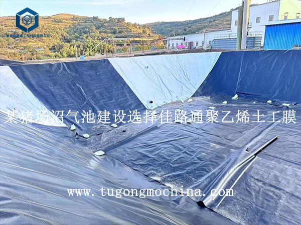 某猪场沼气池建设选择佳路通聚乙烯土工膜