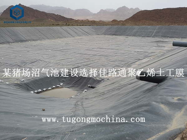 某猪场沼气池建设选择佳路通土工膜