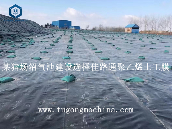 某猪场沼气池建设选择佳路通聚乙烯膜