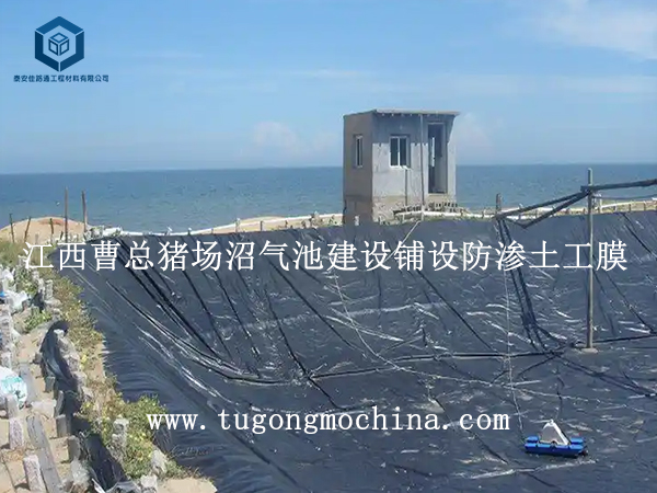 江西曹总猪场沼气池建设铺设防渗膜