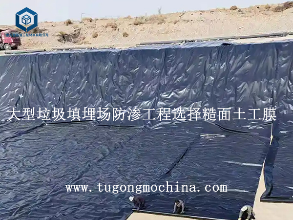 大型垃圾填埋场防渗工程选择土工膜