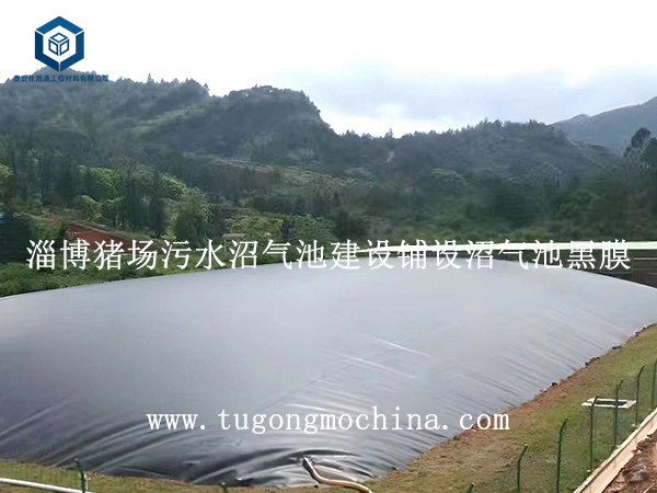 淄博猪场污水沼气池建设铺设黑膜